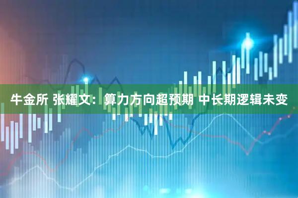牛金所 张耀文：算力方向超预期 中长期逻辑未变