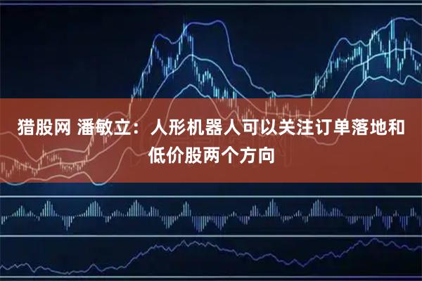 猎股网 潘敏立：人形机器人可以关注订单落地和低价股两个方向
